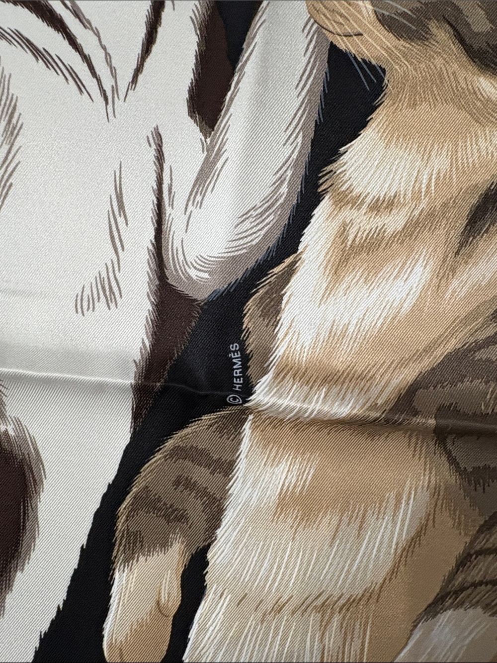 Hermes Cat Dance Silk Scarf - Black, Brown & Coral scarf 70 - Picture 5 of 10